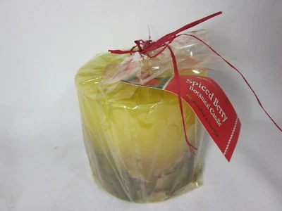 Bath and Body Works Spiced Berry Botanical Candle 4" x 4" RARE  - image 1 of 3