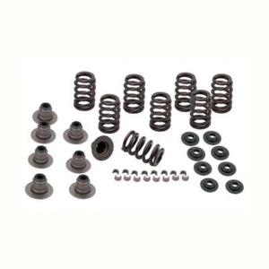 S&S Cycle Moto Motorcycle Motorbike M8 Valve Spring Kit Steel .605" Valve Lift - Picture 1 of 1