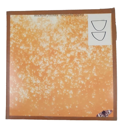 Michael Franks - Sleeping Gypsy 33 RPM Vinyl LP Record, 1977, Jazz, Jazz-Rock - Image 1 of 4
