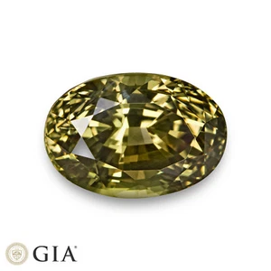 GIA & GII Certificado ALEXANDRITA 8.03 Ct. Natural Sin Tratar LIMPIO PARA LOS OJOS Ovalado RARO - Imagen 1 de 7