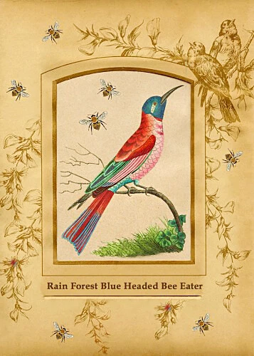 Rainforest Bee Eater Bird Crazy Quilt Block Multi Szs Free Shipping - Image 1 of 1