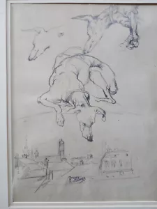 Philipp Helmer Trippstadt Olching WINDHUND Whippet München Frauenkirche - Bild 1 von 3