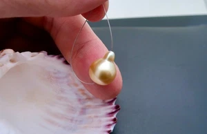 NUEVO EXÓTICO ORO METÁLICO GENUINO MAR DEL SUR FILIPINAS CULTIVADO AA+ PERLA - 11.2 - Imagen 1 de 9