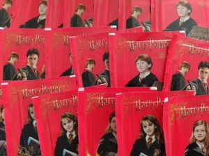 Brazil version 2021 Panini Harry Potter Witches & Wizards x50 sticker pack - Picture 1 of 2