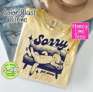 Sorry Got Plans Gato Perezoso Divertido Gráfico Camiseta, Camiseta sin Mangas, Sudadera - Imagen 1 de 4