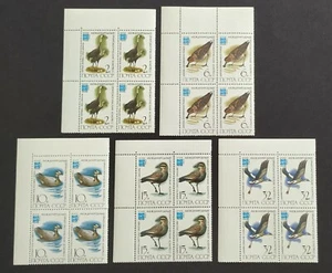 1982 Russia CCCP Birds 5v Stamps (B4 block of 4 sets) TL Corner B4 - Picture 1 of 2