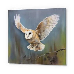White owl, Bird Canvas Print, Birds Wall Art, Bird Lover Gift, Nature Art - Picture 1 of 10