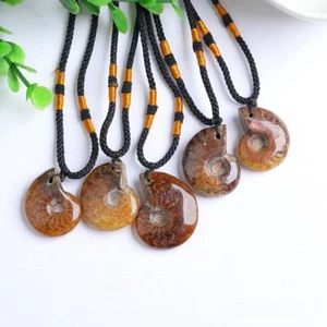 1Pcs Natural Madagascar Sea Conch Fossil Ammonite Wrapped Pendant Necklace - Picture 1 of 4