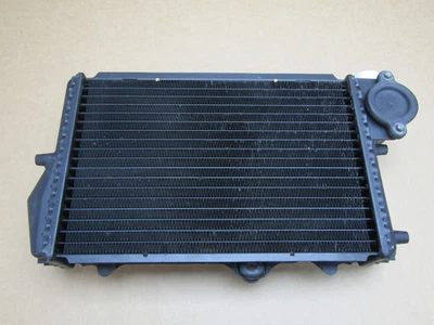 Radiador BMW K100LT Police 1996 (8259) Foto 1 de 4