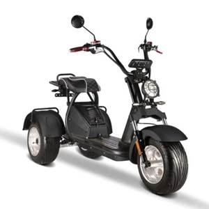 E-Scooter Coco Trike Bike bis zu 45 Km/H 60V 4000 Watt mit Straßenzulassung HM7 - Bild 1 von 8