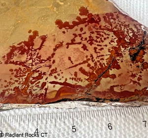 Owyhee Red Flower Jasper Lapidary thick slab 17.8 oz (510 grams) - Picture 1 of 8