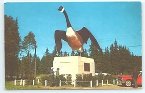 Postcard The Famous Goose at Wawa Ontairo Canada - Picture 1 of 2