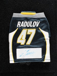 2007-08 Upper Deck Mini Jersey Collection Jerseys Home Alexander Radulov Auto