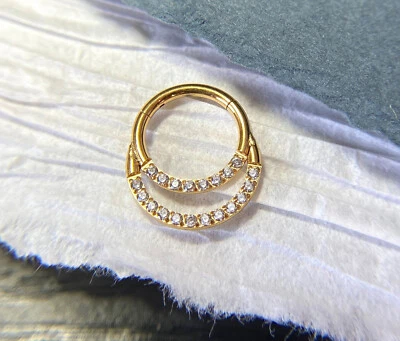 1pc Hinged Segment Ring CNC Set Double Lined CZ Gem Septum Hoop Helix Daith — 第 1/4 张图片