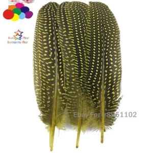 Yellow Dyed 15-20cm Length 100pcs Colorful Polka Dot Guinea Hen Feathers - Picture 1 of 6