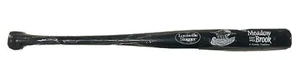 Vintage Erie SeaWolves Louisville Slugger Full Size Souvenir Bat SGA 2000’s Rare - Picture 1 of 4