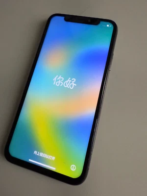 Apple iPhone X - 256GB - Grigio Siderale (Sbloccato) - Immagine 1 di 4