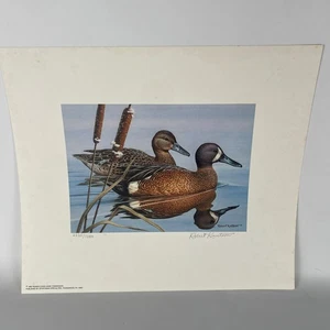 Pennsylvania Waterfowl Management Stamp Print Blue Winged Teal 1986 #2235 - Picture 1 of 8
