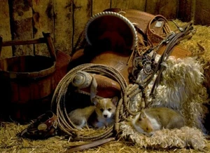 Waiting For The Boss by Robert Dawson Saddle, Rope, Dogs Western Print 17x13 - Picture 1 of 1