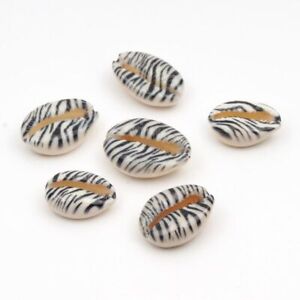 Natural Shell Spacer Beads 10-20mm DIY Charms Shells Bead Jewelry Making 10pcs S