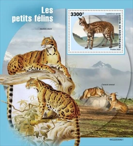 Níger - 2022 Pequeño felino, serval - Hoja de recuerdo de sello - NIG220304b1 - Imagen 1 de 1
