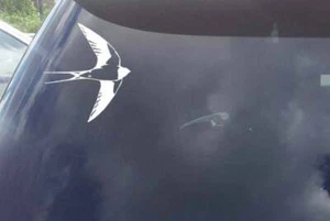 Swallow Bird Decal Sticker Car Boat Laptop Window Wall Door Tattoo - Picture 1 of 2