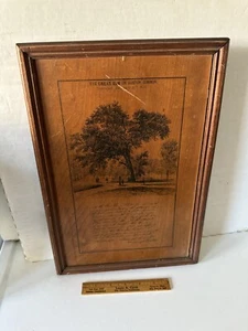 Antique 1876 Wood Veneer Relic The Great Elm Tree Boston Common Framed L Prang - Picture 1 of 11