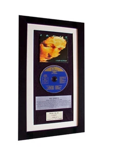 JAMES Gold Mother CLASSIC CD Album GALLERY QUALITY FRAMED+EXPRESS GLOBAL SHIP - Imagen 1 de 8