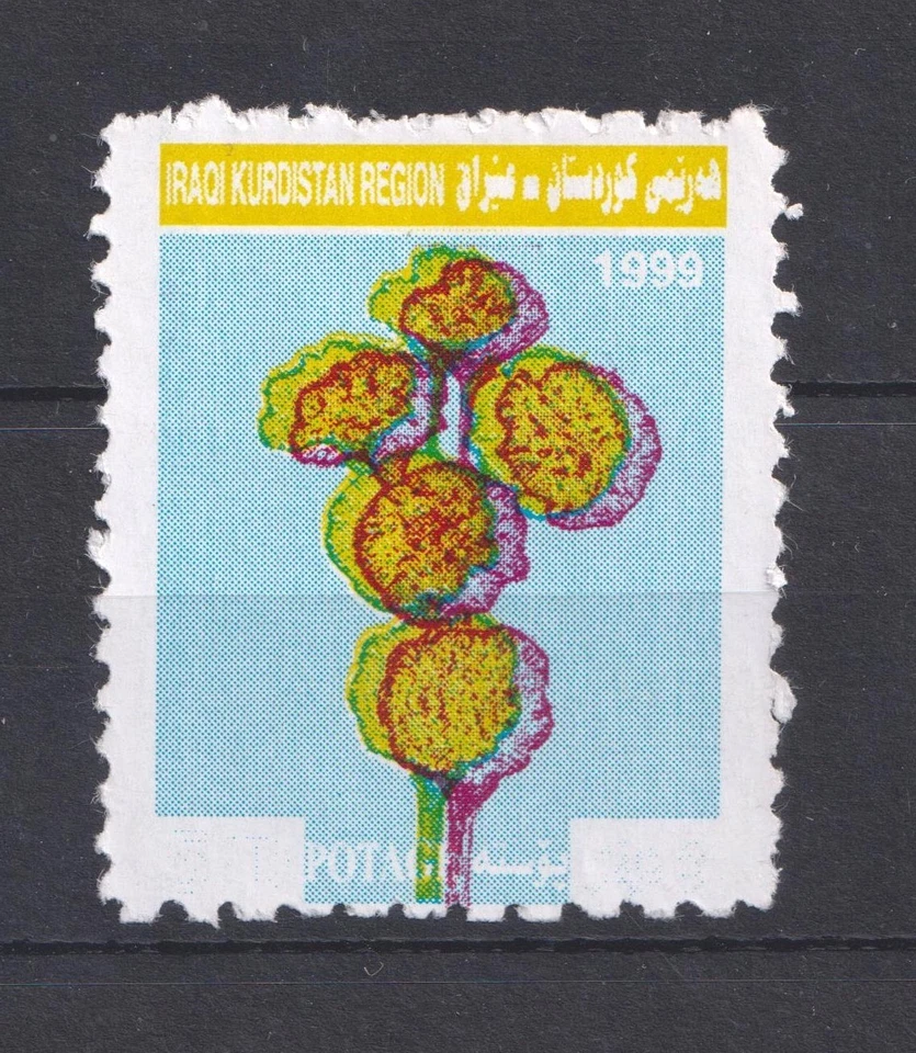Iraque, 1999 Iraque Curdistão inscrição omitida e valor ERRO MNH Ver digitalização. - Imagem 1 de 1