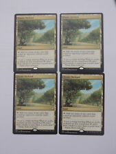 MtG - 4x Exotic Orchard - Forgotten Realms - Commander - (AFC) - NM