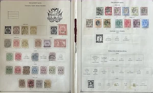 Transvaal Over 100 Year old Mint & Used Collection on Album Pages - Picture 1 of 1