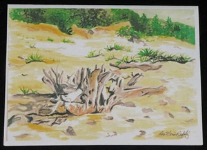 LANDSCHAFT STRAND TREIBHOLZ 8 LEERE NOTIZKARTEN mit UMSCHLÄGEN AQUARELLDRUCKE - Bild 1 von 2
