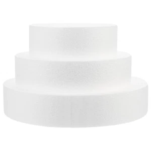 3 Pcs Cake Dummy Paint Dessert Candy Sculpting Tools Dummy Cake Rounds - Picture 1 of 12