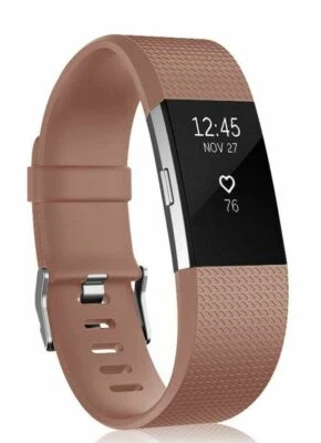 For OEM Fitbit Charge 2 Replacement Band  Bracelet Watch Rate Fitness - Image 1 of 4
