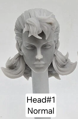 Impressão 3D MUTANT MEN Rachel SUMMERS HEAD #1 1:12 6" Classified Legends Compatível - Imagem 1 de 2