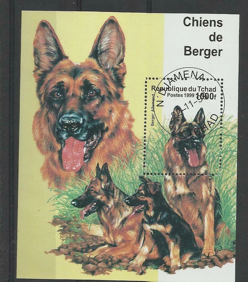  chien dog hund perro Bloc Feuillet oblitéré 82  Tchad - Photo 1/1