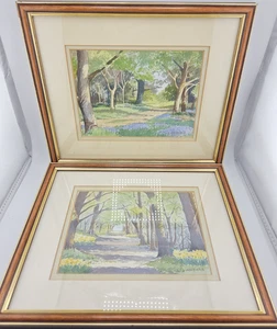 2 C.J. Ashford Original Watercolour Paintings Vintage Framed Art 10"x12" Rare - Picture 1 of 18