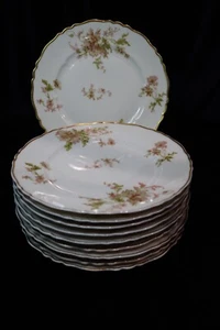 HAVILAND LIMOGES FRANKREICH MOHN ROSA BLUMEN GOLD GEWELLTER RAND 10 SALATTELLER - Bild 1 von 7