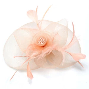 Women's Kentucky Fascinators Tea Party Derby Hat Mesh Floral Feather for Wedding - Picture 1 of 22