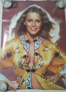 Vintage 1977 Pro Arts Cheryl Ladd Kimono Poster - Picture 1 of 2
