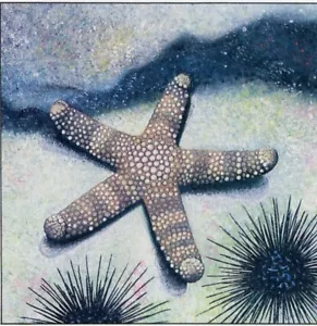 Cocos (Keeling) Islands 1991 #237-40 Marine Life Sea Stars and Urchins 4v FDC - Picture 1 of 2