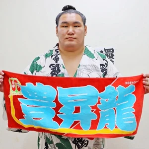 Luchador de sumo Hoshoryu Nobori estilo Rikishi Toalla Imabari 33cm×80cm Japón NUEVO - Imagen 1 de 7