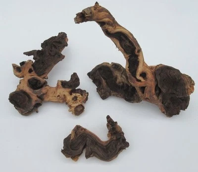 FLORARI Mopani L 30-40cm - Eisenholz Wurzel Aquarium Terrarium Aquascape Holz Hardscape