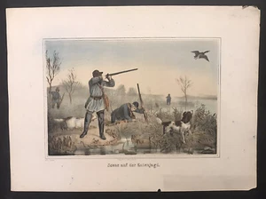 Litografia tedesca colorata a mano ca 1850 caccia all'uccellino - Foto 1 di 7