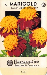 Paquete de semillas vintage: MARIGOLD, Lagomarsino & Sons, Sacramento, años 40 - Imagen 1 de 2