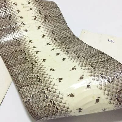 Water Snake Skin Piece Snakeskin Leather Hide Craft Supply Back-cut Natural - Image 1 of 4