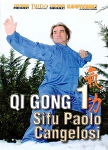 Chi Kung Qi Gong Vol.1 DVD Sifu Paolo Cangelosi - Imagen 1 de 1