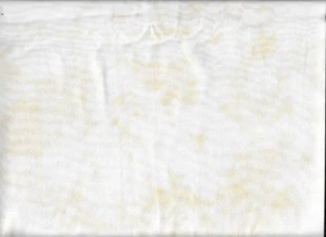 PRIMITIVE MUSLIN BY PRIMITIVE GATHERINGS FOR MODA, FOUR YARDS 115 INCHES WIDE. - Picture 1 of 2