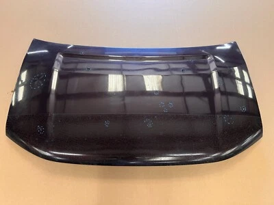 03-08 HONDA ELEMENT CAPÓ DELANTERO PANEL GRANATE MONTAJE CAPÓ, OEM LOTE3380 Foto 1 de 4