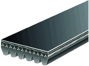 For 2001-2005 Audi Allroad Quattro Multi Rib Belt Gates 89449JVRY 2002 2003 2004 - Picture 1 of 2